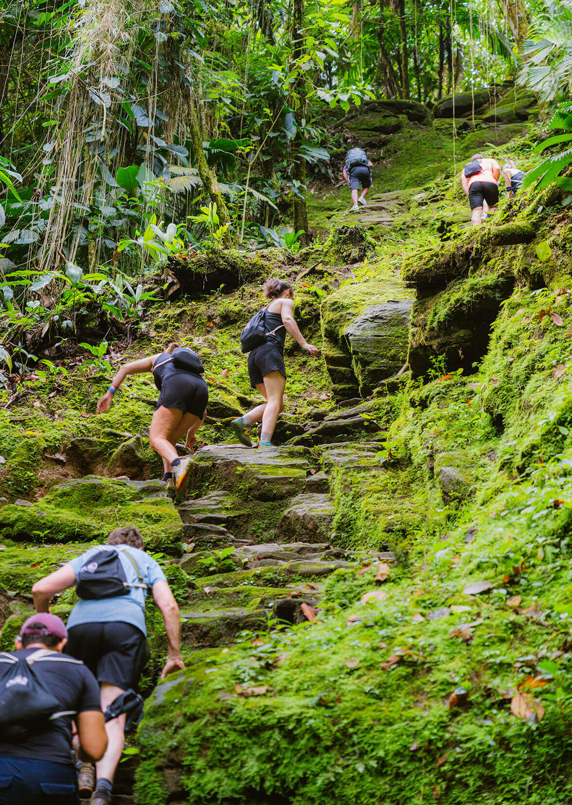 Ciudad Perdida Trek 3 días